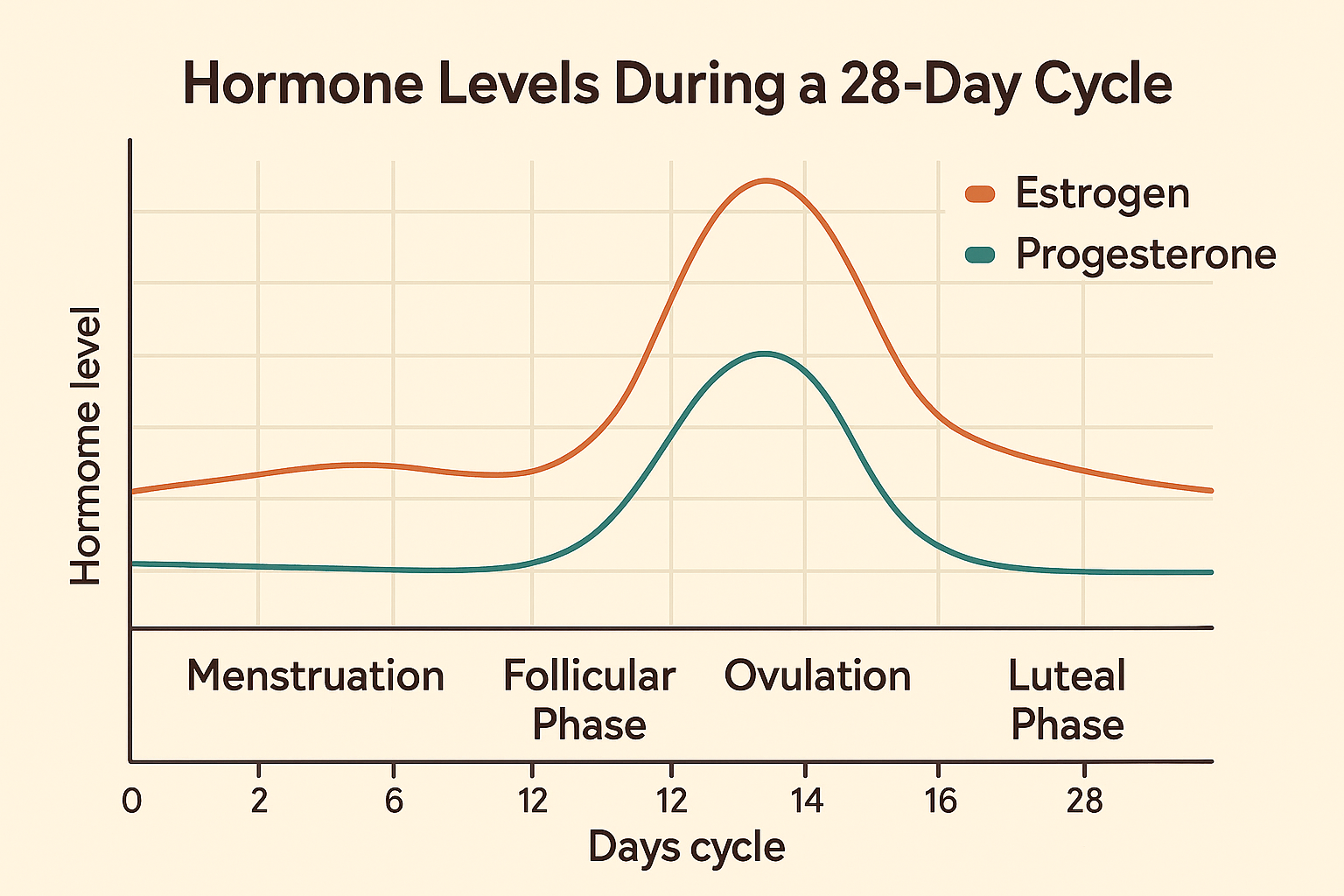 Line graph showing estrogen and progesterone levels across a 28‑day cycle, with peaks around ovulation and luteal phase.